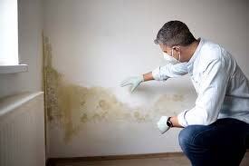 Biohazard Mold Removal in Lafayette, CO